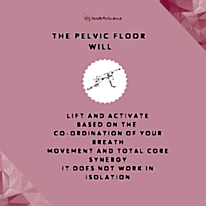 pelvicfloor-kegels-perimenopause-fitness-dahlas-fletcher-female-personal-trainer-prolapse